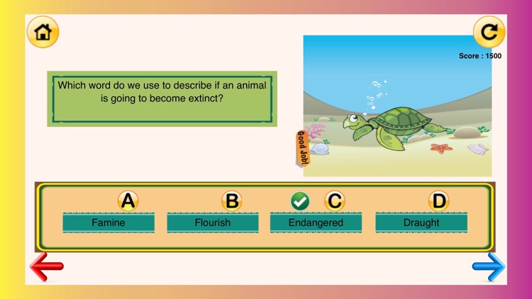 2nd Grade Science Glossary #2: Learn and Practice Worksheets for home use and in school classrooms