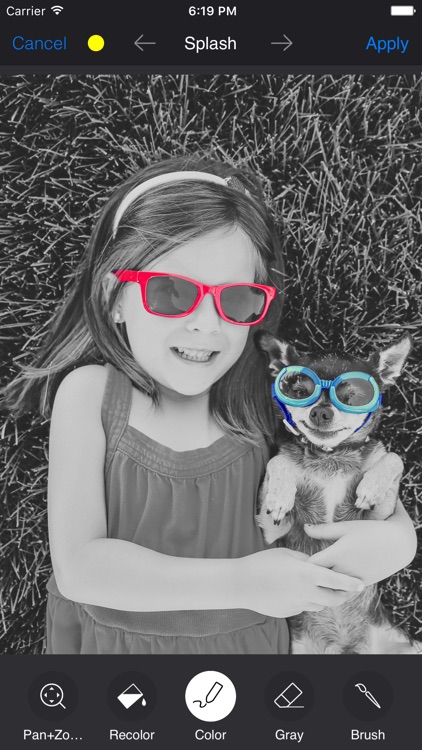 Toast - Photo Editor & Create stylish photos! screenshot-4
