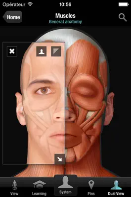 Game screenshot Virtual Human Body apk