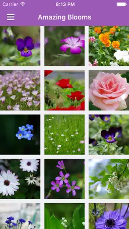 Game screenshot Flowers Daily mod apk