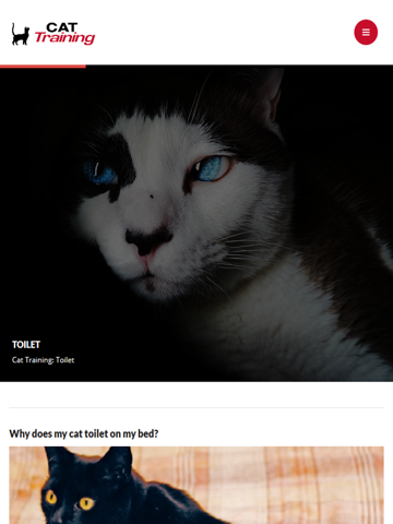 Screenshot #5 pour Cat Training Tips