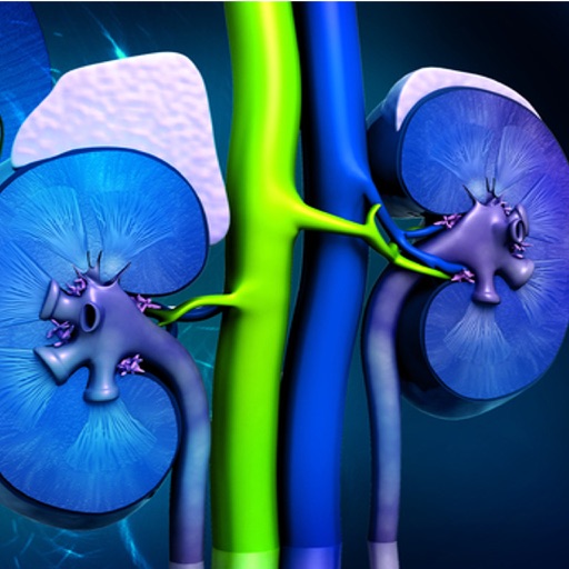 Glomerular Filtration Rate (GFR) Calculator