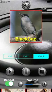 birds mimic iphone screenshot 4