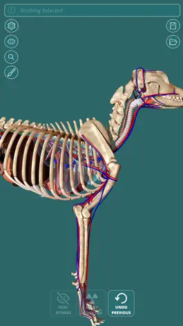Game screenshot Visual Anatomy - Canine apk