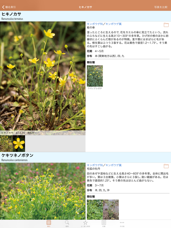 Screenshot #5 pour 野に咲く花（山溪ハンディ図鑑）