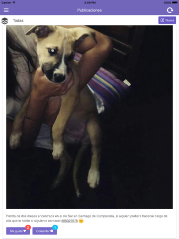 Screenshot #6 pour Petsbook.es