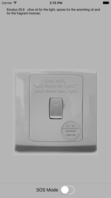 Bible Verses Flashlight