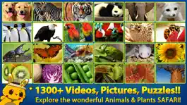 Game screenshot ABC SAFARI Animals & Plants - Video, Picture, Word, Puzzle Game mod apk