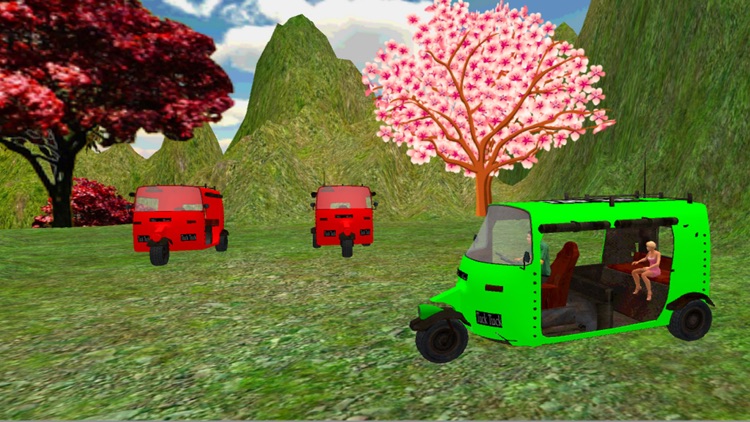 Drive Mountain Tuk Tuk Rikshaw