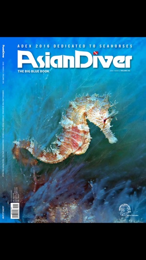 Asian Diver