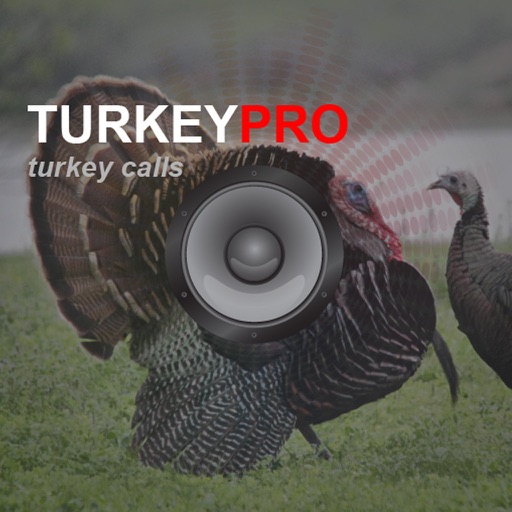 Turkey Calls - Turkey Sounds -Turkey Caller App HD Icon