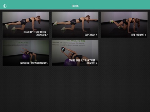 Triathlon Fitness - exercise video guides screenshot 3