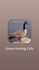 Goose Hunting Calls! screenshot #1 for iPhone