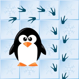 Où est la maison de pingouin?