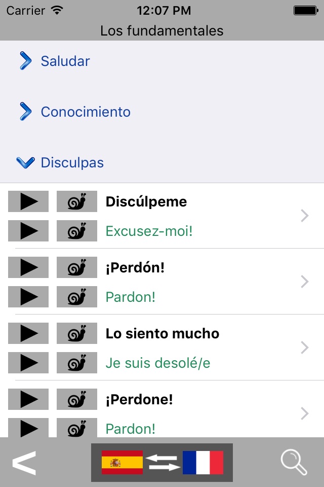 Spanish / French Talking Phrasebook Translator Dictionary - Multiphrasebook screenshot 2