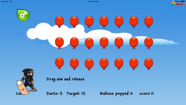 Angry Ninja Balloons