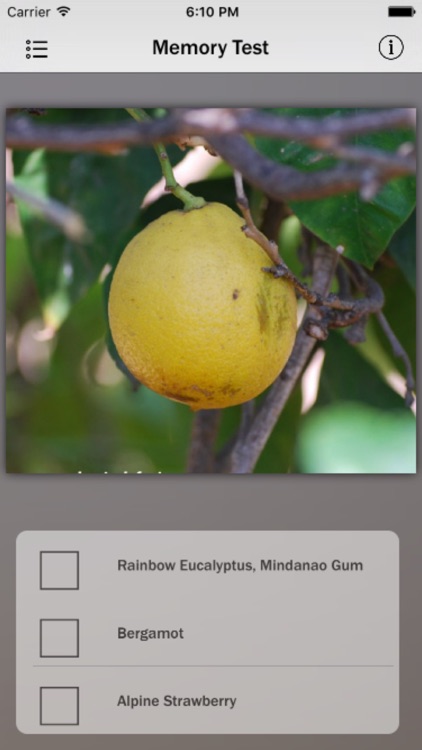 Fruits Database