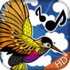 Birds Sounds: Call Of Nature!  HD