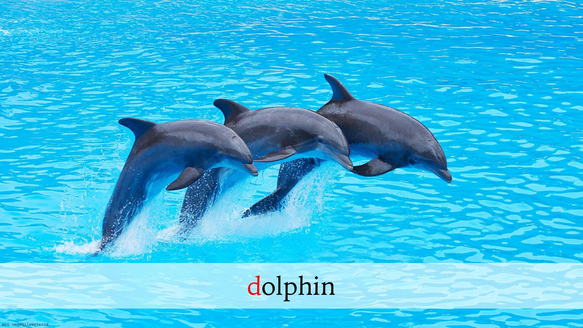 ABC Alphabet Flash Cards - learn ABC, with images and voice over screenshot 3