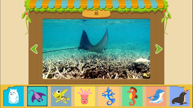 宝宝认海洋动物-2~6岁幼儿认识动物益智早教小游戏(探索动物世界的在线自然博物馆软件)