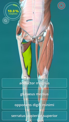 Anatomy Quiz - muscles and bonesのおすすめ画像1