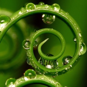 螢幕擷取畫面 (5) Wallpaper Collection Macro Edition
