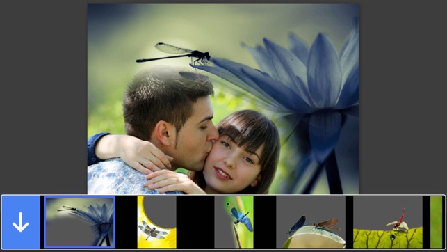 Dragonfly Photo Frame - Picture Frames + Photo Effects(圖1)-速報App