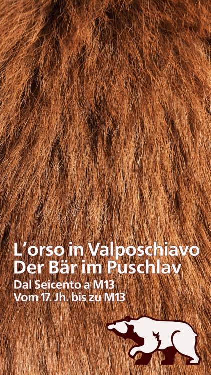 Orso Bär