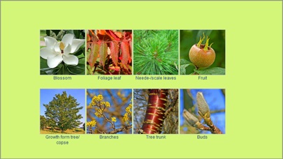 Tree identification Screenshot