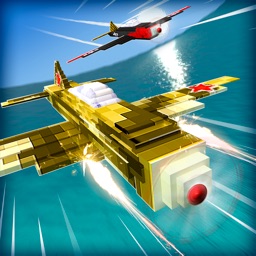 Fly the Sky . Conquer the Air Battle