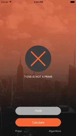 Prime Number Checker screenshot 3
