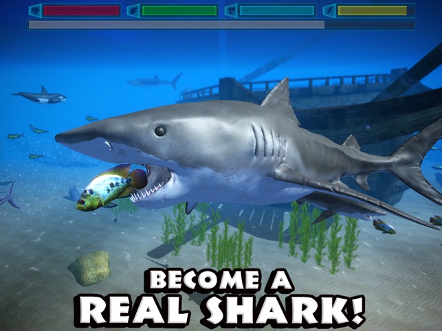 Shark Games - Ultimate Shark Simulator Games, Shark Attack Hungry Fish  Game, Feed & Grow Shark Game, Raft Survival Ocean Games, Underwater  Shark Hunting Games