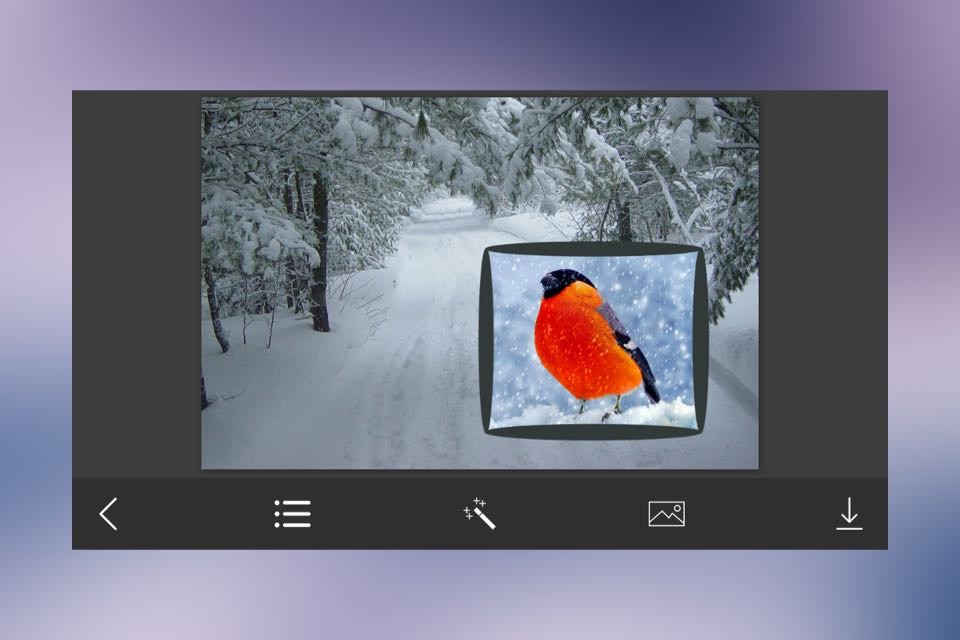 Snow Photo Frame - Art Photography & mega Frames screenshot 2