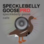 Specklebelly Goose Calls - Electronic Caller app download