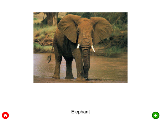 Screenshot #5 pour Animal Planet | Birds and Animals for Kids