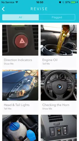Game screenshot Show Me Tell Me Lite - Practical Driving Test apk
