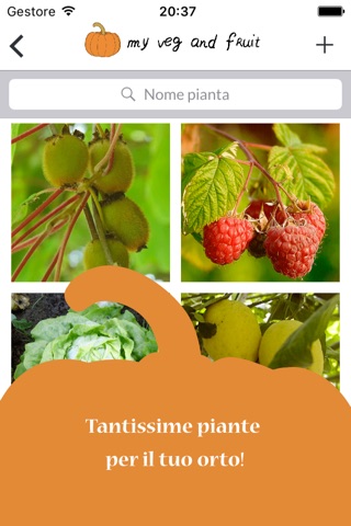 myVeg&Fruit | The app to manage your vegetable garden screenshot 4