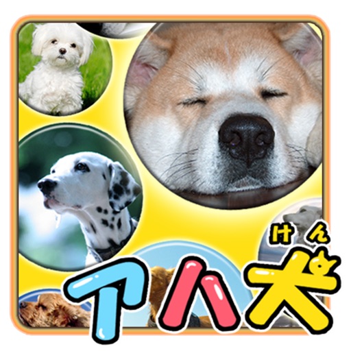 Brain Training - Aha dog picture book icon