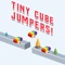 Tiny Cube Jumper