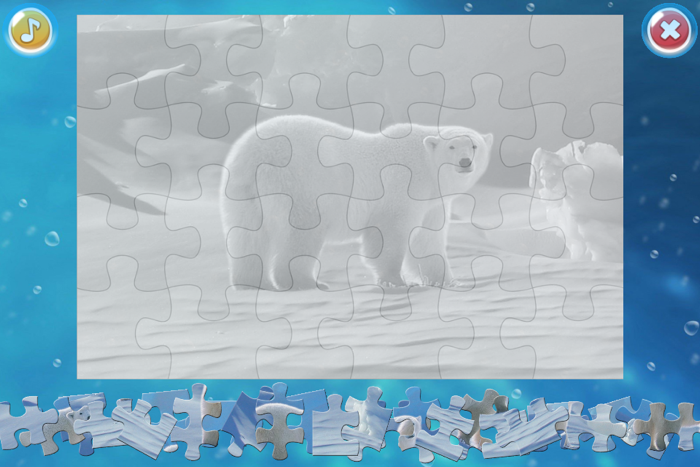 Arctic Animals Puzzle