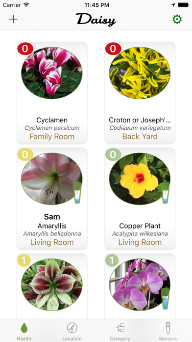 Screenshot #1 pour Daisy Sensor - Bluetooth Plant Soil Moisture