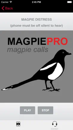 REAL Magpie Hunting Calls - REAL Magpie CALLS & Magpie Sounds! iPhone image 1