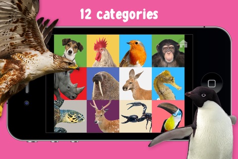 100 Animal Words for Babies & Toddlers screenshot 4