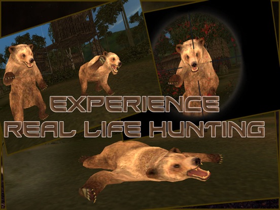 Wild Bear Hunter 2016 : Jungle Beast Hunting Simulation 3d : full fun free game iPad screenshot