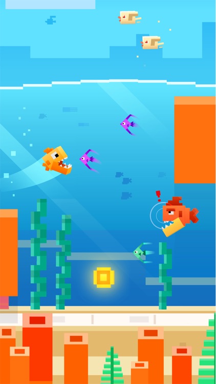 Fishy Bits