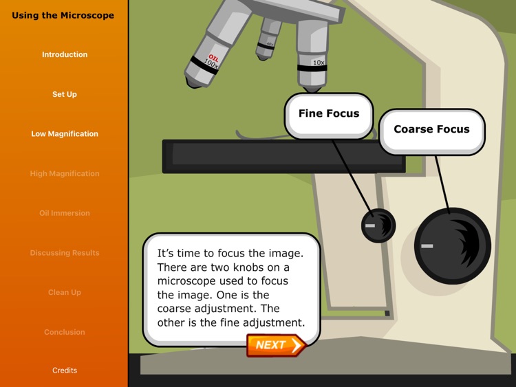 Virtual Labs: Using a Microscope screenshot-3