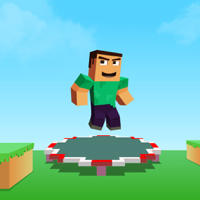 Backflip Trampoline Craft Madness Hop Hop Hop Man Jump