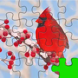 Puzzles Amazing Jigsaw Birds Collection Pro app icon