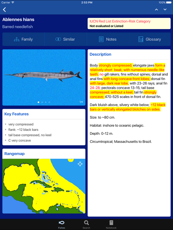 Screenshot #5 pour Fishes: Greater Caribbean