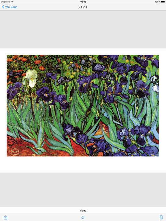 Screenshot #5 pour Van Gogh 314 œuvres (HD 400M+)